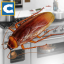 蟑螂模拟器3D