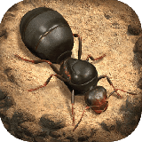 小小蚁国(3D蚂蚁题材)
